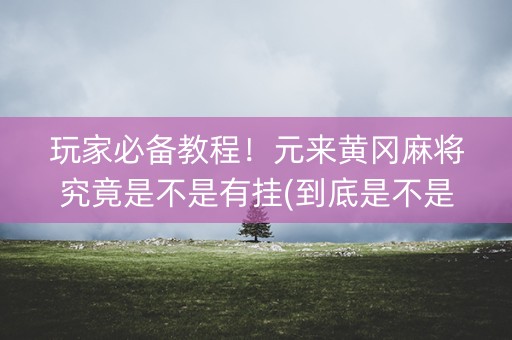 玩家必备教程！元来黄冈麻将究竟是不是有挂(到底是不是有挂)