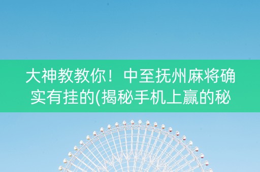 大神教教你！中至抚州麻将确实有挂的(揭秘手机上赢的秘诀)