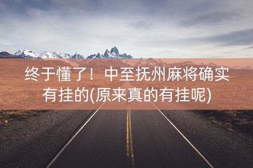 终于懂了！中至抚州麻将确实有挂的(原来真的有挂呢)