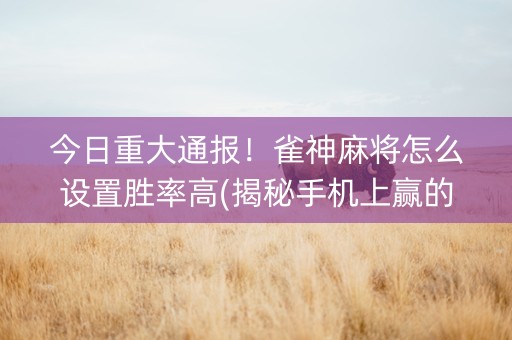 今日重大通报！雀神麻将怎么设置胜率高(揭秘手机上赢的诀窍)