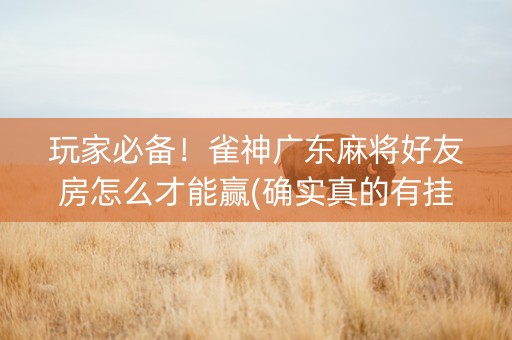 玩家必备！雀神广东麻将好友房怎么才能赢(确实真的有挂)