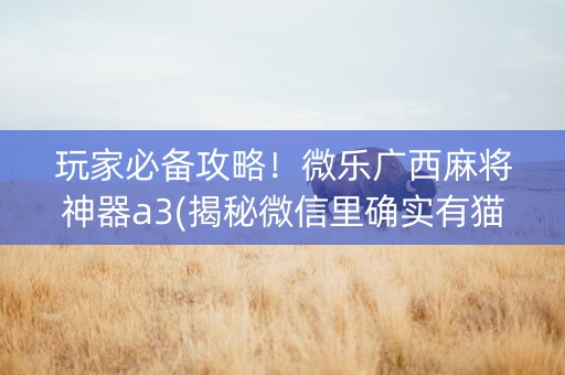 玩家必备攻略！微乐广西麻将神器a3(揭秘微信里确实有猫腻)