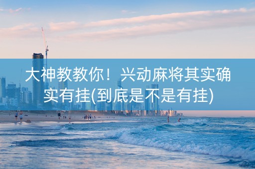 大神教教你！兴动麻将其实确实有挂(到底是不是有挂)