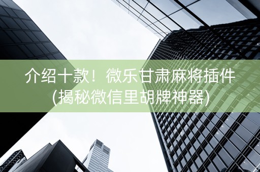介绍十款！微乐甘肃麻将插件(揭秘微信里胡牌神器)