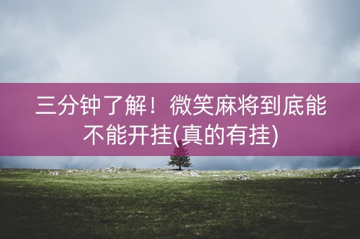 三分钟了解！微笑麻将到底能不能开挂(真的有挂)