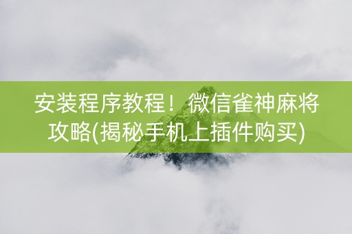 安装程序教程！微信雀神麻将攻略(揭秘手机上插件购买)