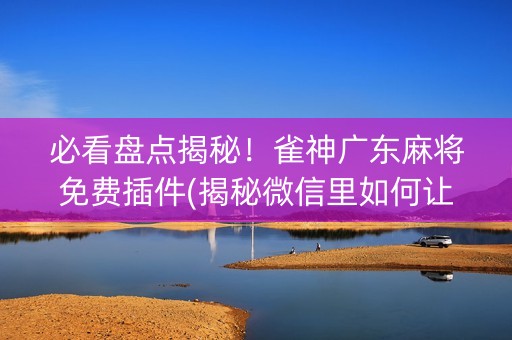 必看盘点揭秘！雀神广东麻将免费插件(揭秘微信里如何让牌变好)