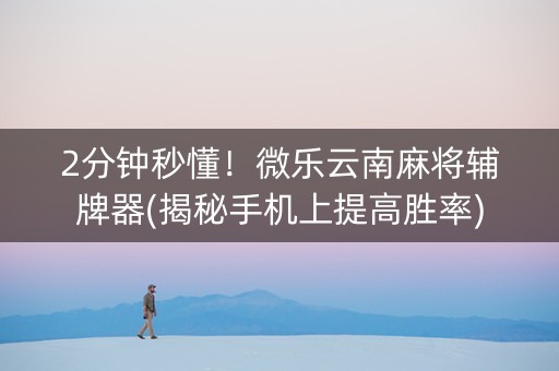 2分钟秒懂！微乐云南麻将辅牌器(揭秘手机上提高胜率)