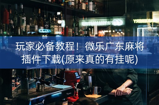 玩家必备教程！微乐广东麻将插件下载(原来真的有挂呢)