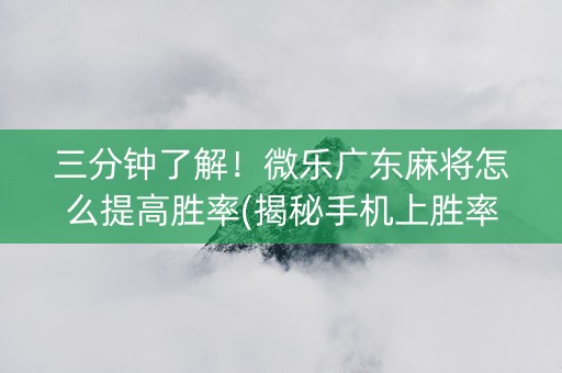 三分钟了解！微乐广东麻将怎么提高胜率(揭秘手机上胜率到哪调)