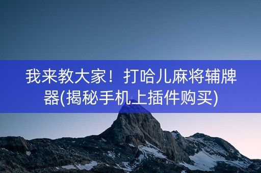我来教大家！打哈儿麻将辅牌器(揭秘手机上插件购买)