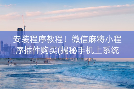 安装程序教程！微信麻将小程序插件购买(揭秘手机上系统发好牌)