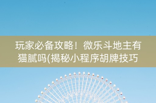 玩家必备攻略！微乐斗地主有猫腻吗(揭秘小程序胡牌技巧)