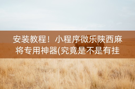 安装教程！小程序微乐陕西麻将专用神器(究竟是不是有挂)
