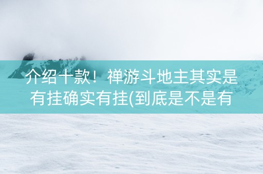 介绍十款！禅游斗地主其实是有挂确实有挂(到底是不是有挂)