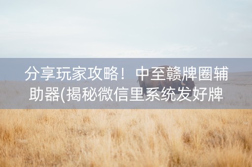 分享玩家攻略！中至赣牌圈辅助器(揭秘微信里系统发好牌)