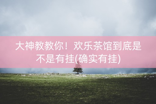 大神教教你！欢乐茶馆到底是不是有挂(确实有挂)