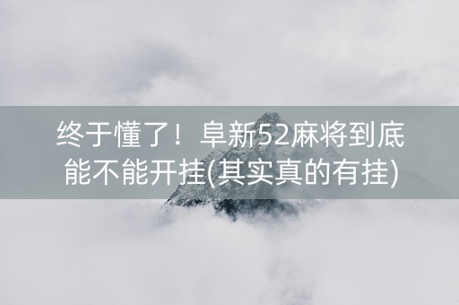 终于懂了！阜新52麻将到底能不能开挂(其实真的有挂)