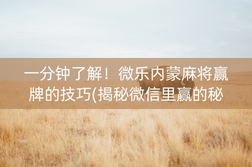 一分钟了解！微乐内蒙麻将赢牌的技巧(揭秘微信里赢的秘诀)