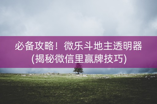必备攻略！微乐斗地主透明器(揭秘微信里赢牌技巧)