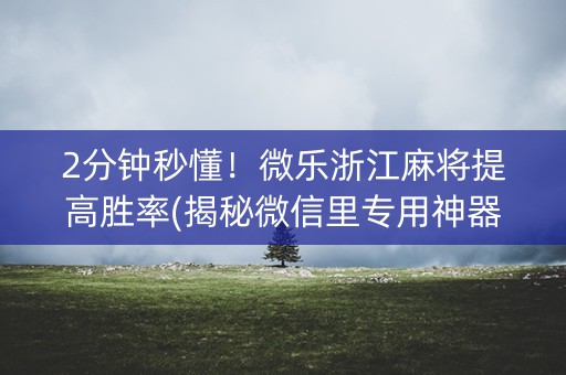 2分钟秒懂！微乐浙江麻将提高胜率(揭秘微信里专用神器)