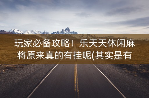玩家必备攻略！乐天天休闲麻将原来真的有挂呢(其实是有挂确实有挂)