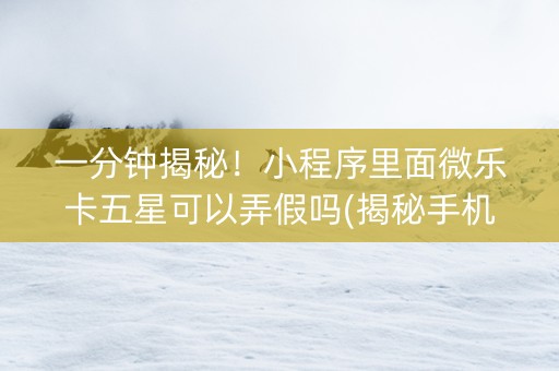一分钟揭秘！小程序里面微乐卡五星可以弄假吗(揭秘手机上插件购买)