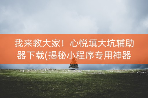 我来教大家！心悦填大坑辅助器下载(揭秘小程序专用神器)