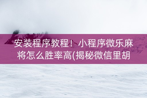安装程序教程！小程序微乐麻将怎么胜率高(揭秘微信里胡牌技巧)