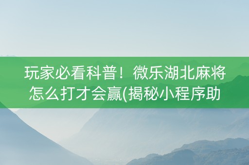 玩家必看科普！微乐湖北麻将怎么打才会赢(揭秘小程序助赢神器购买)