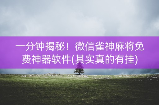 一分钟揭秘！微信雀神麻将免费神器软件(其实真的有挂)