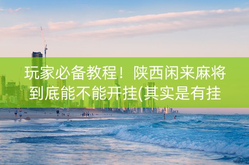 玩家必备教程！陕西闲来麻将到底能不能开挂(其实是有挂的)