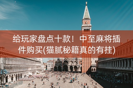 给玩家盘点十款！中至麻将插件购买(猫腻秘籍真的有挂)