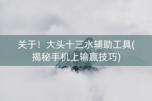 关于！大头十三水辅助工具(揭秘手机上输赢技巧)