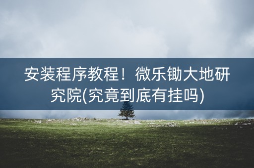 安装程序教程！微乐锄大地研究院(究竟到底有挂吗)
