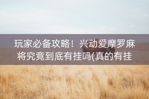玩家必备攻略！兴动爱摩罗麻将究竟到底有挂吗(真的有挂确实有挂)