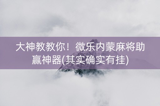 大神教教你！微乐内蒙麻将助赢神器(其实确实有挂)