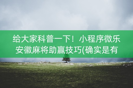 给大家科普一下！小程序微乐安徽麻将助赢技巧(确实是有挂的)
