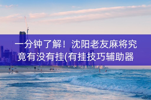 一分钟了解！沈阳老友麻将究竟有没有挂(有挂技巧辅助器)