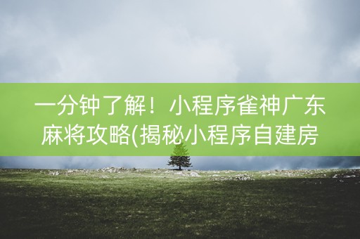 一分钟了解！小程序雀神广东麻将攻略(揭秘小程序自建房怎么赢)