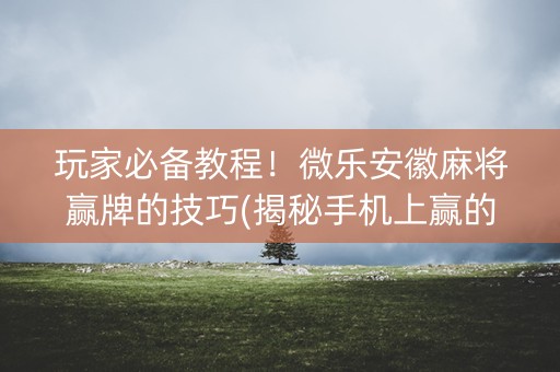 玩家必备教程！微乐安徽麻将赢牌的技巧(揭秘手机上赢的秘诀)