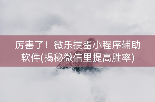 厉害了！微乐掼蛋小程序辅助软件(揭秘微信里提高胜率)