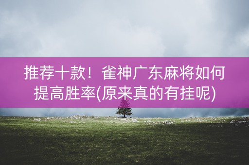 推荐十款！雀神广东麻将如何提高胜率(原来真的有挂呢)
