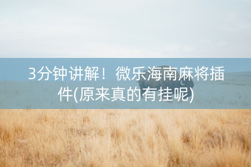 3分钟讲解！微乐海南麻将插件(原来真的有挂呢)