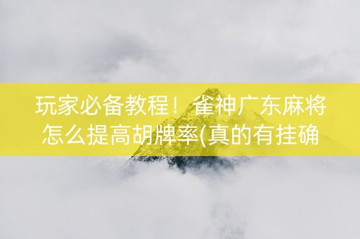 玩家必备教程！雀神广东麻将怎么提高胡牌率(真的有挂确实有挂)