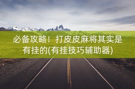 必备攻略！打皮皮麻将其实是有挂的(有挂技巧辅助器)
