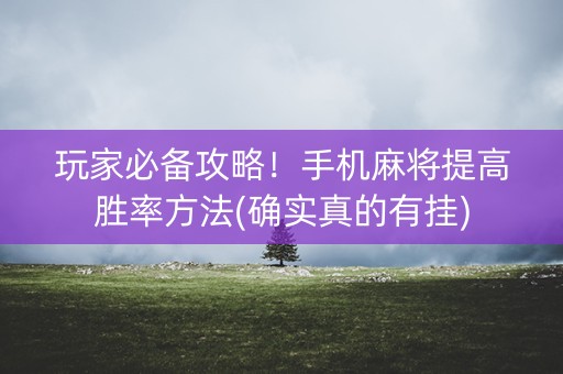 玩家必备攻略！手机麻将提高胜率方法(确实真的有挂)