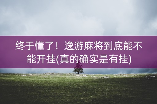 终于懂了！逸游麻将到底能不能开挂(真的确实是有挂)
