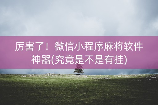 厉害了!微信小程序麻将软件神器(究竟是不是有挂) 厉害了!微信小程序麻将软件神器(究竟是不是有挂)
