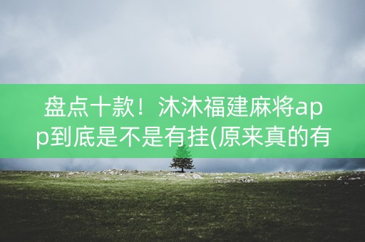 盘点十款！沐沐福建麻将app到底是不是有挂(原来真的有挂)